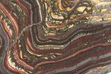 Polished Tiger Iron Stromatolite Slab - Billion Years #221814-1